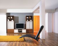 vestavěné skříně do obývacího pokoje vestavěné skříně do obývacího pokoje